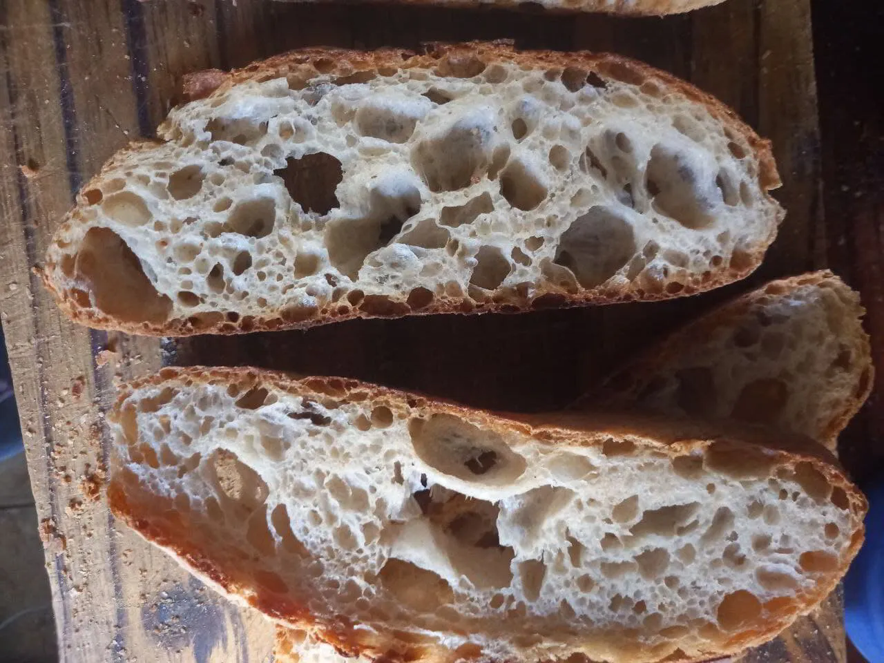 Open, irregular crumb in a baked ciabatta loaf